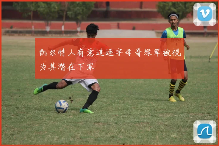 凯尔特人有意追逐字母哥绿军被视为其潜在下家